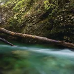Prázdninový dům Stunning In Vrbovsko
