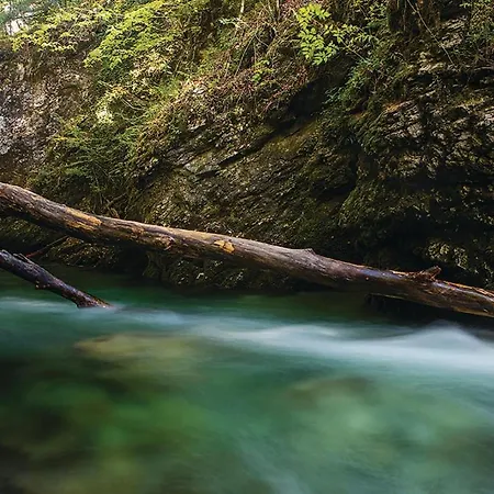 Σπίτι διακοπών Stunning In Vrbovsko